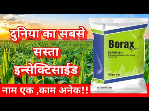 Borax powder/Borax powder insecticide/boric