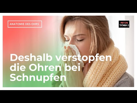 Anatomie Mittelohr – Tuba auditiva (Clip 7 von 7)