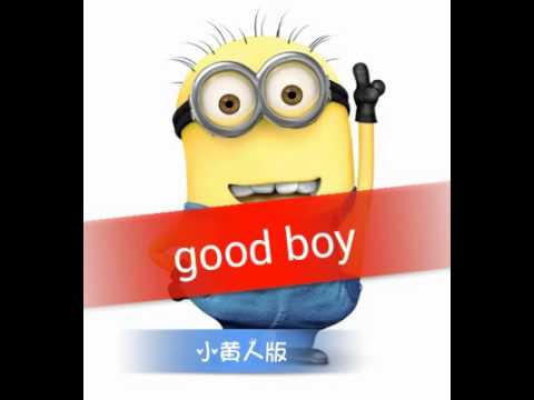 Good Boy Good Boy