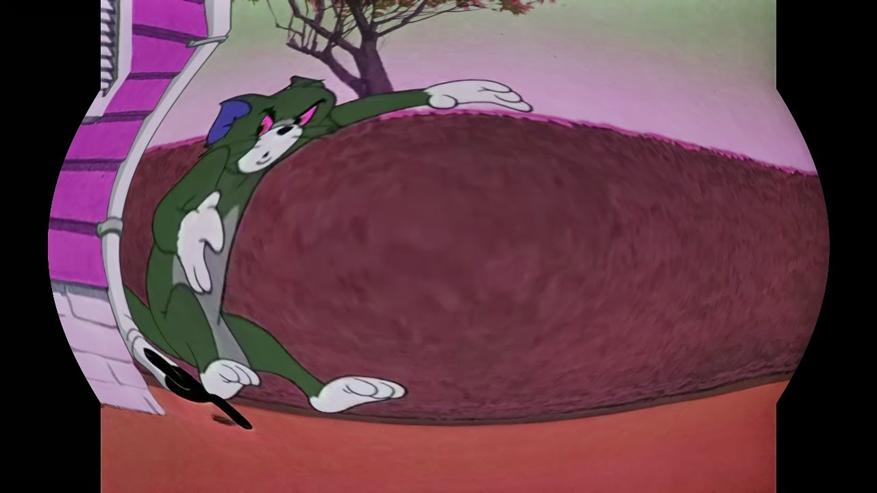 Tom and Jerry: Tom vs Baby Sea Lion/SB Preview 2 Mokou Deepfake