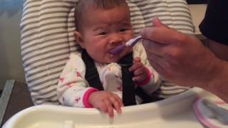 First Food Foodavocado