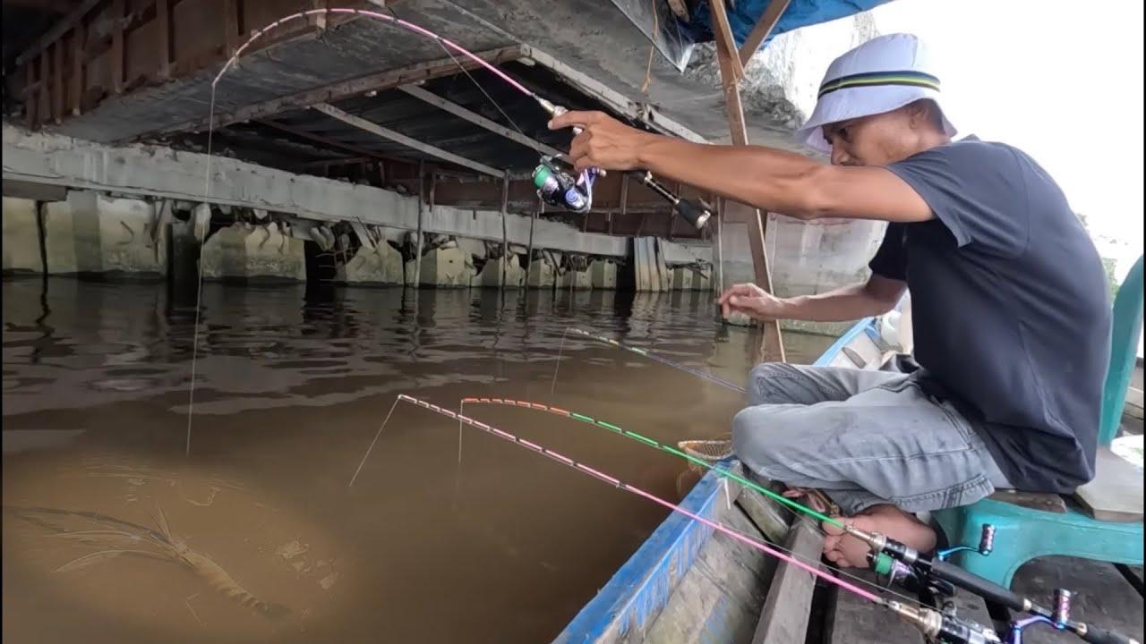 Рыбаки здесь ловят гигантских креветок, используя только удочку.