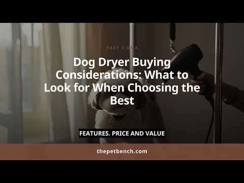 Watch: Best Dog Grooming Dryer for Home Use: Top Picks & Expert Guide