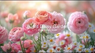 Sunlit Daisy Garden 🌼🌸✨ Soft Waltz Piano & Guitar | Healing BGM for Studying, Working & Relaxing screenshot 3