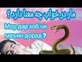 مار در خواب چه معنا دارد ؟ Мор дар хоб чи маъно дорад