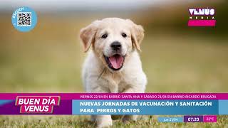 Nuevas jornadas de vacunación y sanitación para perros y gatos | Buen Día Venus