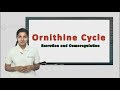 Watch this one video and never forget what Ornithine cycle is