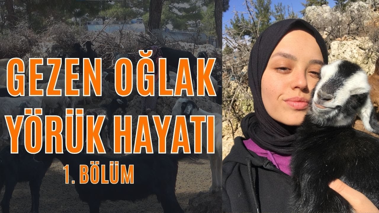 Gezen Oğlak Yörük Hayatı