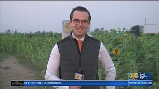 Murray Family Farms to hold their annual pumpkin patch starting this weekend