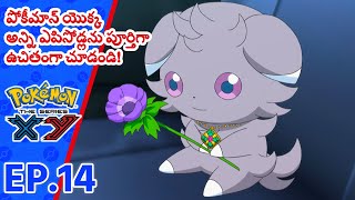 Pokémon the Series: XY భాగం 14 | Seeking Shelter From The Storm! | Pokémon Asia Official (Telugu)