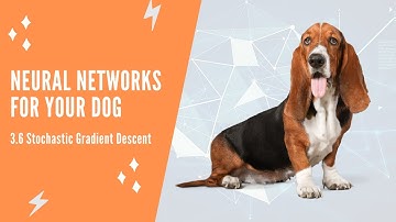 Neural Networks For Your Dog - 3.6 Stochastic Gradient Descent