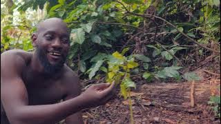 André Pépé Nzé - Andia (Clip officiel)