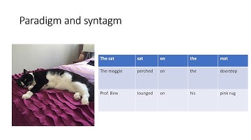Paradigm and syntagm