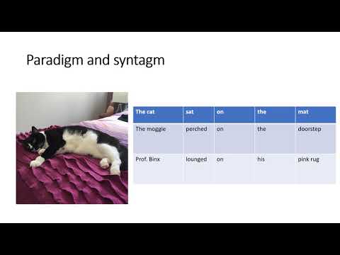 Paradigm and syntagm