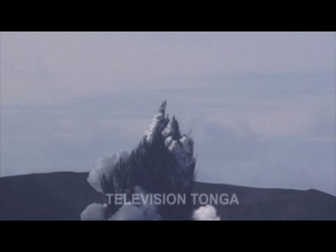 Video: Uccelli E Fiori Stanno Già Chiamando La Nuova Isola Tonga A Casa