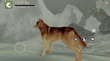 Wolf Online: How to get Blank Name/ No name