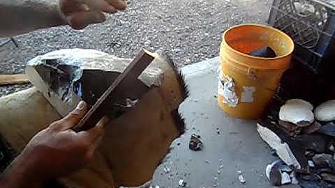 Spalling Obsidian large biface 1/5