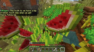 The Traveling Trader Gameplay Footage ft. Creeper8007