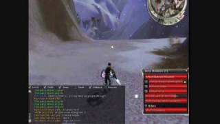 guild wars Glitches by Markloper 3