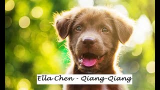 Video thumbnail of "Ella Chen - Qiang-qiang (Lyrics)"