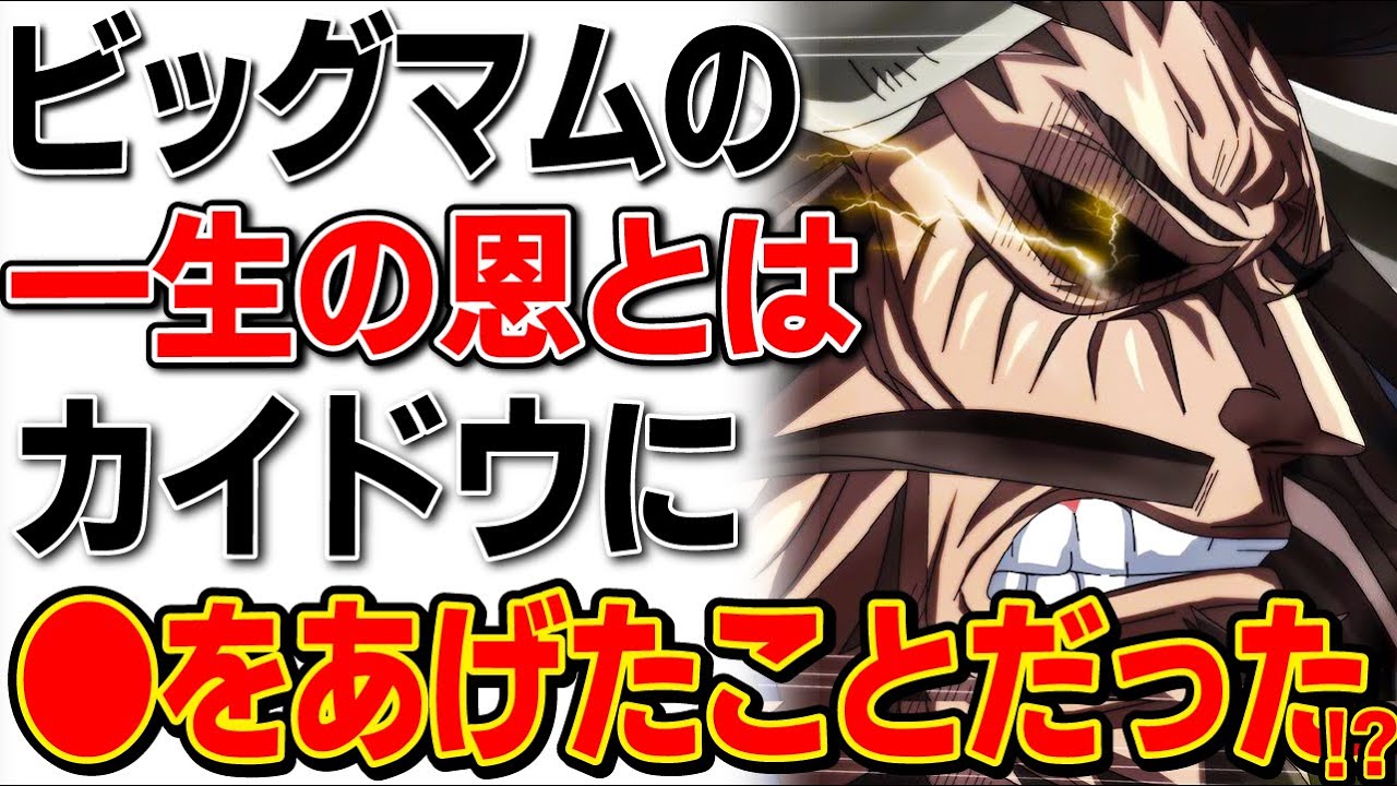 無料ダウンロード キング ワンピース 種族 ワンピース画像