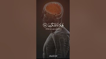 وهو الذي أنشأ لكم السمع والأبصار والأفئدة قليلا ما تشكرون | القارئ صلاح بوخاطر
