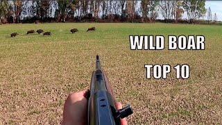 I 10 migliori abbattimenti | Top 10 wild boar | En iyi 10 yaban domuzu | top 10 des sangliers