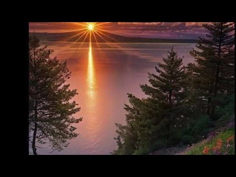 Ustaaz Ibsaa Hasan Guyyaa Tokkoo Uf Gafaaate Bektaa Qabriin Akkaa As Dema Jirtuu