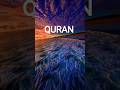 quran sharif recitation#quranshorts#peacefulquran#hilights #viralshort#quranforyou#trading#reel#love