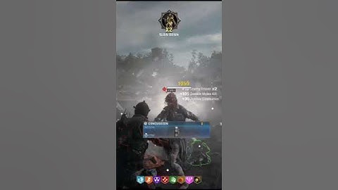 WunderFizz before round 25 bo6