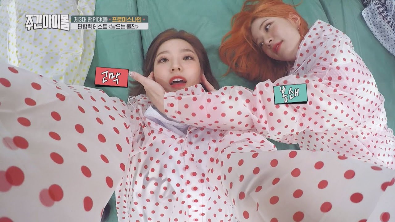 [Weekly Idol EP.377] fromis_9's Bromance A tense watering game..ㄷㄷ