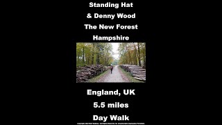 Standing Hat & Denny Wood Walk, New Forest National Park Walks, Hampshire Walks In England - shorts