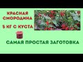 01.08.2020 Красная смородина- делаем варенье, сохраняем все витамины📝.