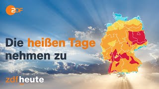 Immer mehr heiße Tage in Deutschland | #shorts screenshot 4