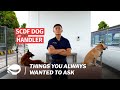 A Dog Handler in Singapore Civil Defence Force | Things You've Always Wanted To Ask