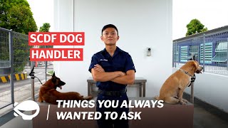 A Dog Handler in Singapore Civil Defence Force | Things You've Always Wanted To Ask