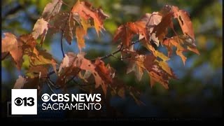 Where is the best place to catch fall colors? | The Answer