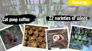 Cat poop Coffee || Homemade Wine || Coorg || dji || dominar400
