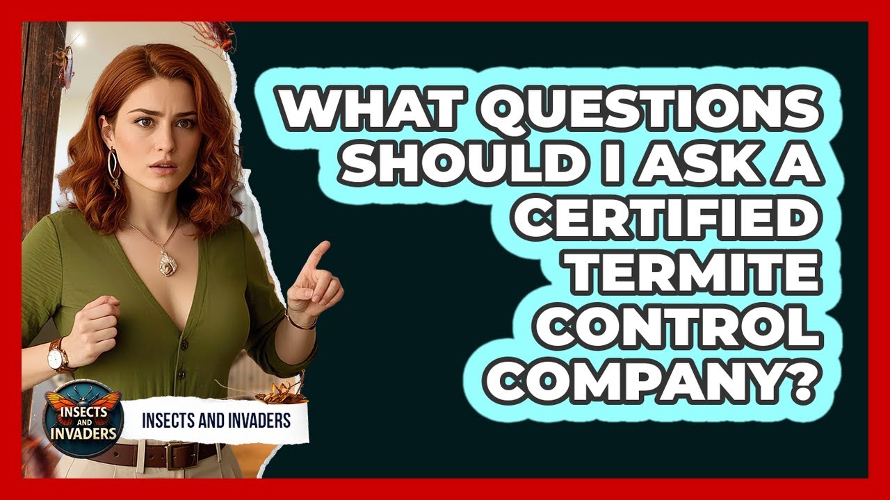 What Questions Should I Ask A Certified Termite Control Company? - Insects and Invaders