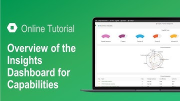Overview of the Insights Dashboard for Capabilities in ADOIT