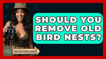 Should You Remove Old Bird Nests? - Bird Watching Diaries
