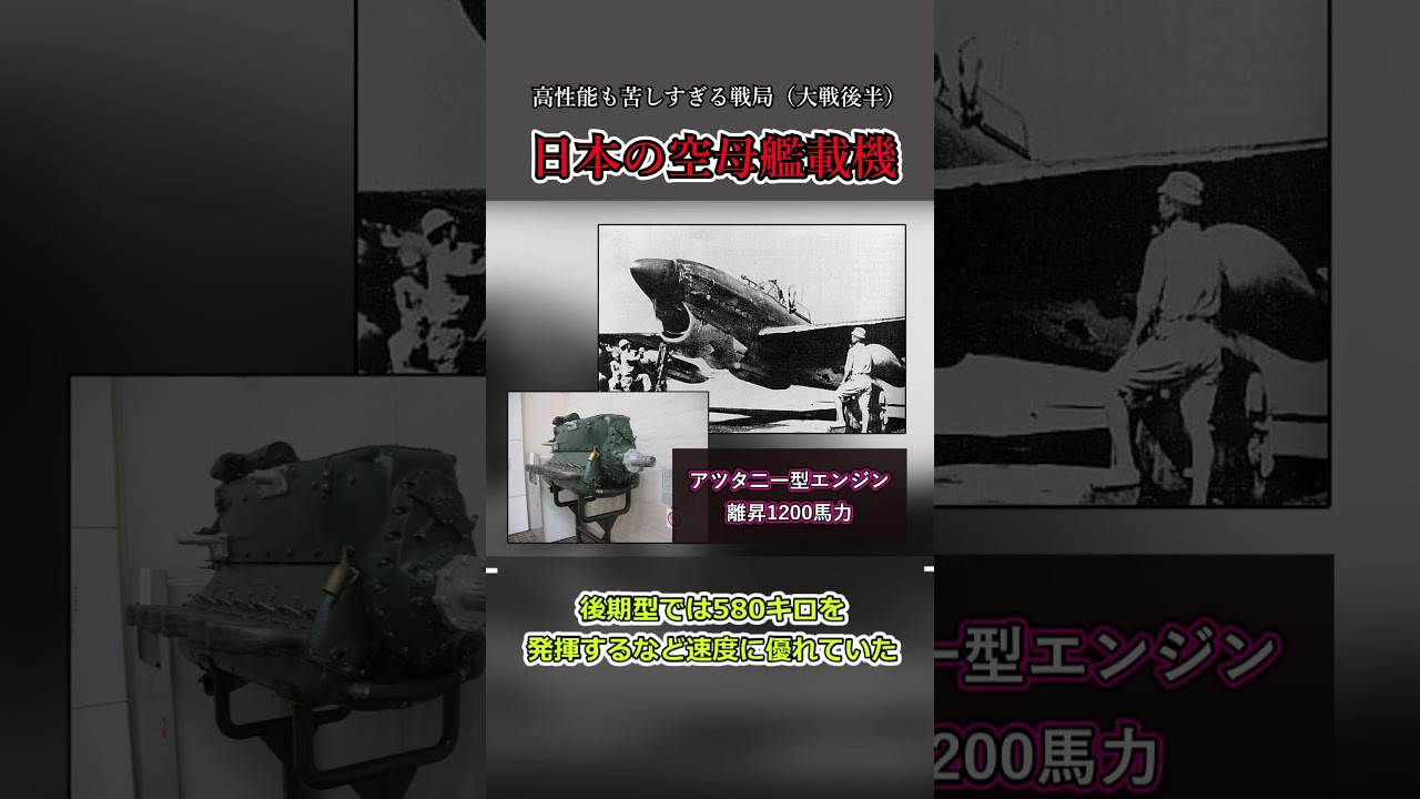 【高性能を生かせず】太平洋戦争後半の日本艦載機たち #shorts #一分でわかる #解説 #プチ知識 #ゆっくり解説 #衝撃の事実 #歴史 #戦闘機