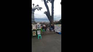 Download Lagu Buruang Gagak.ciptaan Ted Ramnez cover AI MP3