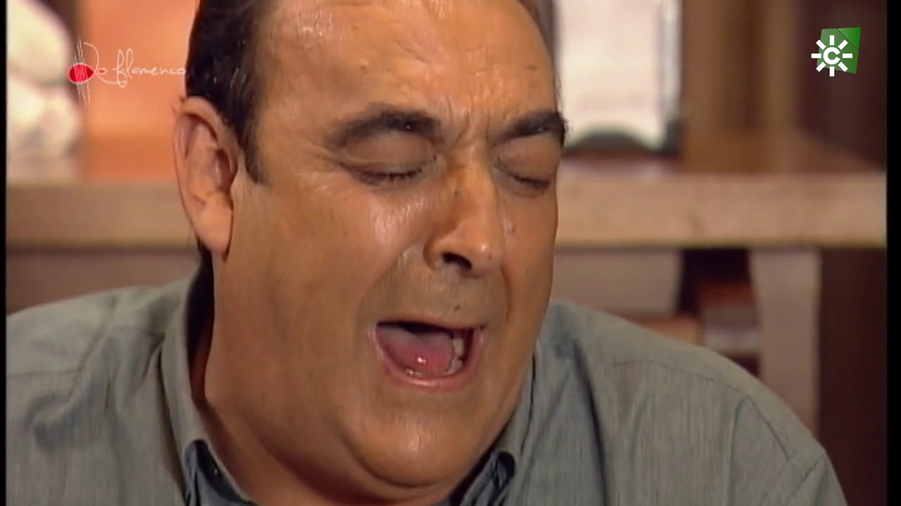 Fandangos. Pepe Peregil. 1999
