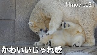 So cute! Polar Bear cub 可愛いすぎる！お腹の下に入りたいリラ