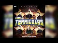 🔥LOS TERRICOLAS MIX - GRANDES ÉXITOS · @DjWilliamMix✔ Mp3 Song