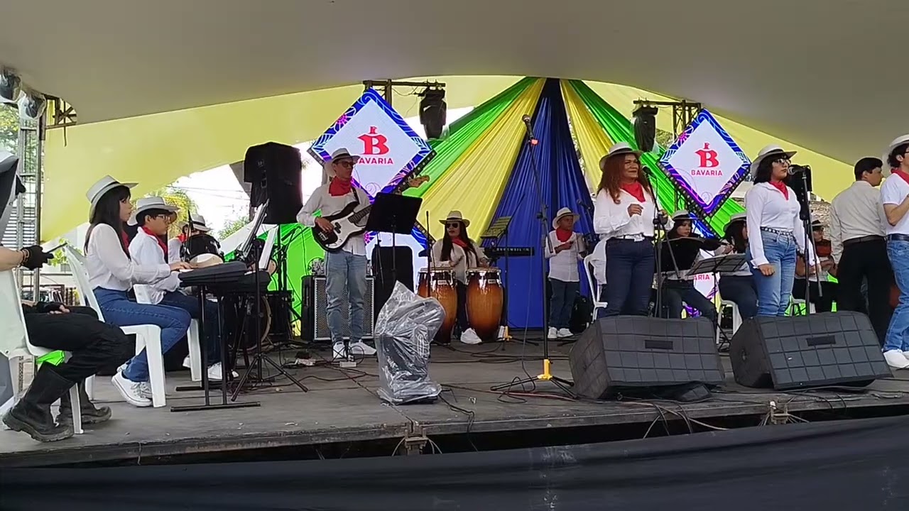 Feria de Palmira del grupo gea grupo ensamble armonía 432