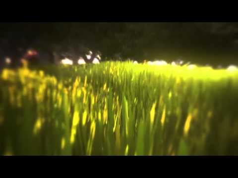 Natural Intro test