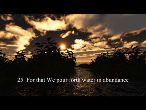 Peaceful Qur'an Recitation! Surah 'Abasa - Sheikh Abu Bakr Al-Shatri - w/ translation