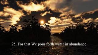 Peaceful Qur'an Recitation! Surah 'Abasa - Sheikh Abu Bakr Al-Shatri - w/ translation